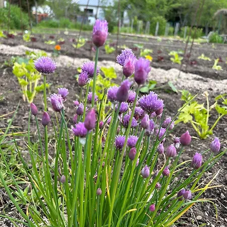 Urban Style L'etape Saint-Flour (Cantal)