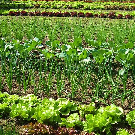 Otel Urban Style L'etape Saint-Flour (Cantal)