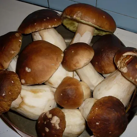 Urban Style L'etape Saint-Flour (Cantal)