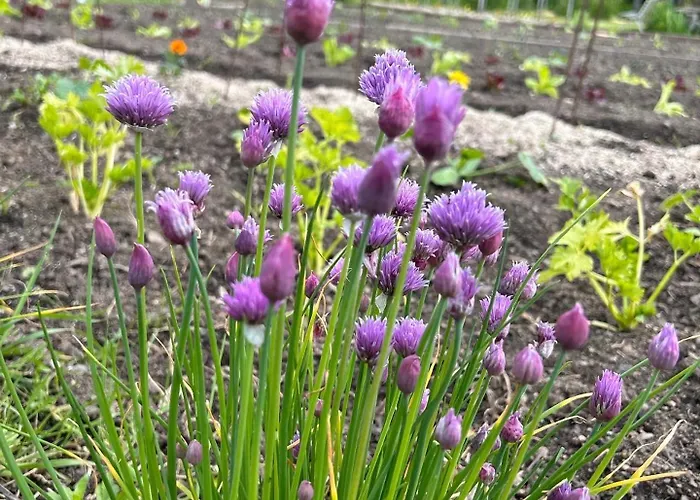 Urban Style L'etape Saint-Flour (Cantal)