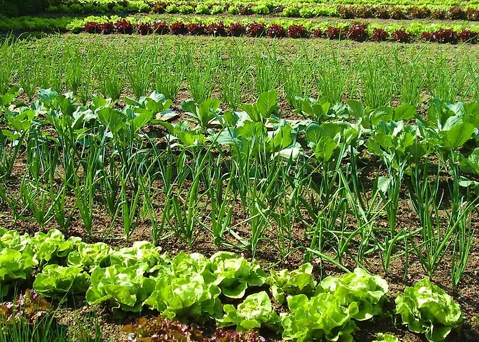 Ξενοδοχείο Urban Style L'etape Saint-Flour (Cantal)