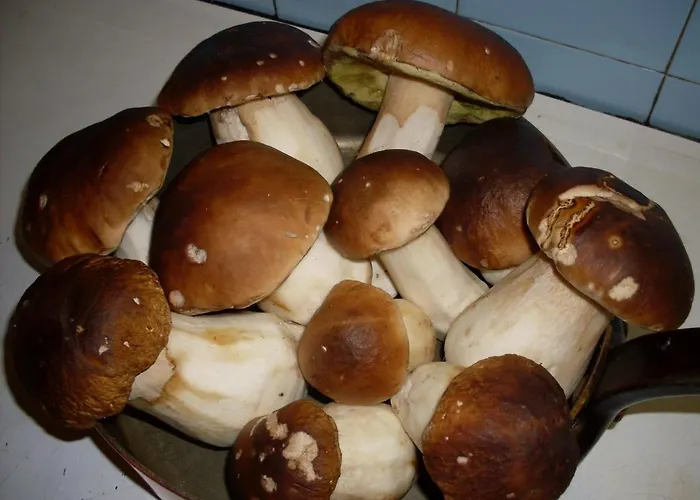 Urban Style L'etape Saint-Flour (Cantal)